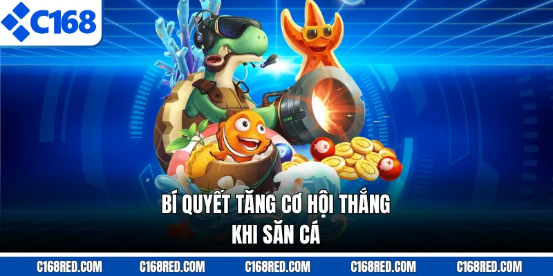 Bí quyết tăng cơ hội thắng khi săn cá